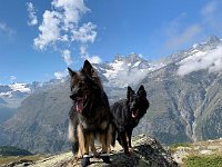 Shani und Gitan
